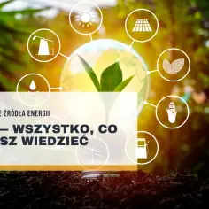  Co to oze? Oze co to znaczy? Kliknij i dowiedz się!