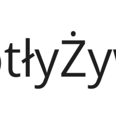 Kocioł CO Żywiec: Specyfikacja, ceny i opinie użytkowników