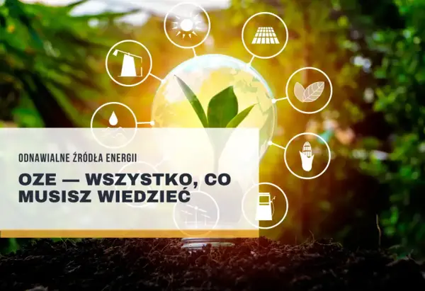 Co to oze? Oze co to znaczy? Kliknij i dowiedz się!